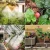 Import 30 m DIY automatic drip irrigation System Garden set balcony Water-saving intelligent watering drip device from China