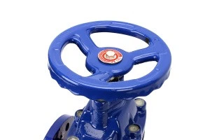4 Inch ductile iron gate valve dn32
