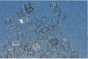 Agcu28/4j29 Agcu28/Kovar Microelectronics Packaging Materials Agcu28 Clad Kovar for Semiconductors Ceramic Packaging