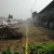 Import Agriculture irrigation for irrigation system micro spray tape from China