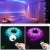Import Alexa Smart Wifi Led Light Strip Multicolor Waterproof IP65 Strip Light Wireless Smart Phone Controlled from China