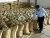 Import ALL ROBUSTA COFFEE BEAN VIETNAM ORIGIN from USA