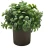 Import artificial flower for home decor live bonsai artificial plant for office deacor amazon Sell like hot cakes style from China
