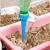 Import Automatic Garden  Self Drip Plant Watering  Slow Release Control Valve Switch Watering Device from China