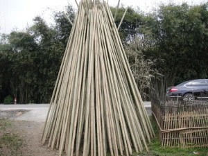 Bamboo Raw Materials / Bamboo pole