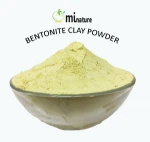 Bentonite Clay Powder / Multani Mitti / Indian Origin