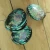 Import best price New Zealand polished paua abalone shell in stock from China