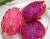 Import Best Quality Fresh Dragon Fruits from Thailand