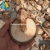 Import Best selling easy grow price wood ear mushroom spawn from China