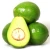 Import Best Selling Fresh Avocados For Sales from Canada