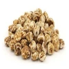 Best Tiger Nuts/ Organic Peeled Tiger Nuts for sale