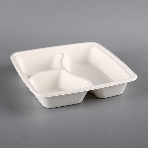 Buy 100% Biodegradable Sugarcane Bagasse Takeaway Food Container ...