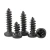 Import black self tapping screw for plastics from China