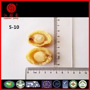 boiled salted abalone can 400g Solids:160g/16PCS WHOLESELL SHELLFISH