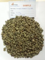 BULK ROBUSTA COFFEE/ ARABICA COFFEE GOOD PRICE WHOLE SALE