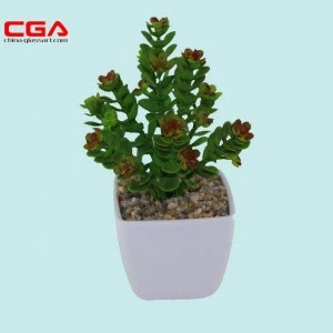 Cactus artificial artificial ornamental plants