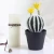 Import Cactus ball bonsai simulation succulent plant suit ornament black plastic basin stone paving tiger skin orchid from China