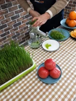 cast iron manual vegetable and fruit juicer