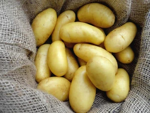 Certified Organic Fresh Potatoes, Irish Potatoes