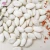 Import cheap best quality pumpkin seeds without shell snow white price from China