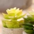 Import Cheap wholesale Mini tabletop ornament 2020  artificial succulent plant from China