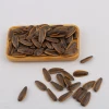 China factory sale sweet and salted flavor roasted sunflower seeds price