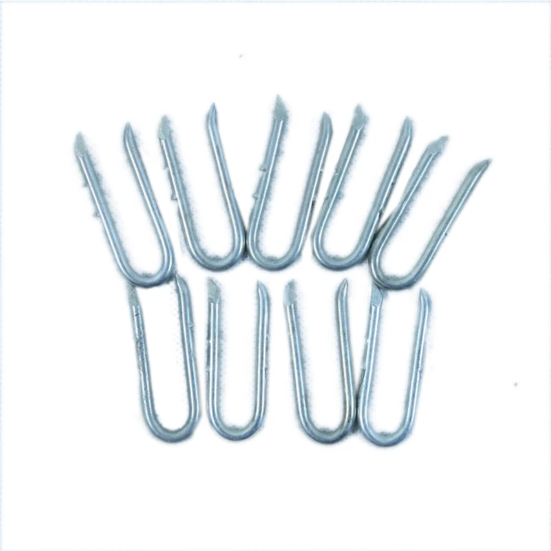 China Low Price Fittings Round Hardware Nail Steel Nails Stainless Galvanized Steel U Type Nails