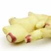 China Suppliers hot selling frozen ginger fresh organic ginger fob price
