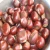 Import China supply chestnut for sale from China