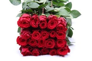 Christmas Gifts Made in China Fresh Cut Rose Flowers / Fresh Cut Flowers Processing Type and Flower Part flower