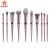 Import Classical pink handle 10pcs professional brush set makeup from China