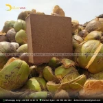 COCO PEAT GOOD PRICE COCO PEAT SOIL COCO PEAT ORGANIC BAGS FOR PLANTS AND SEEDS MADE IN VIETNAM