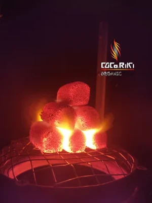 CocoRiki Coconut Shell Charcoal Briquette for Shisha Hookah Incense Low Ash Premium Quality 100% Indonesia Products