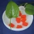 Import custom Garcinia cambogia gummy candy from China