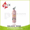 Custom High Quality 1kg colorful Powder Fire Extinguishers