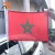 Import Customized design 30*45cm  american flag car with plastic car window flag poles from China