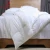 Import Customized Size Hotel Luxury Goose Down Comforter from China