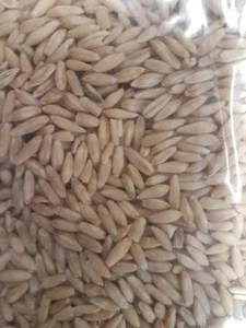 Dehulled oats