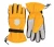 Import Design categories and of Winter Sports ski mitten gloves from Pakistan