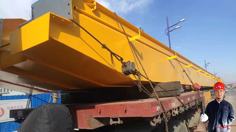 DINGYA CRANE Manufacturing Plant applicable 5TON 10ton  over head crane in workshop