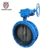 Ductile iron body gearbox DN50-DN1200 ss304 disc Flange Butterfly valve