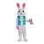 Easter Rabbit Costume Cute Easter Dress Anime Cosplay Costume Holiday Party Dress Rabbit Mascot Costume
