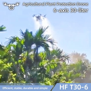 Easy Controlled 30L Six-Rotor Flight Positioning Accuracy Plant Protection Agriculture Spray Drone with Discount Price