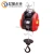 Import electric hoist winch for lifting sailboat from China