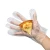 Import EN13432 OK compost home Compostable Biodegradable Disposable household Gloves from China