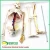 Import ENOVO-12367, Medical Science 85cm Skeleton with Nerves Blood Vessels for School Education, Anatomical Skeleton from China