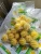 Import Exporter from Thailand Pure Natural Sweet Frozen Pineapple Fruit from Thailand