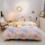 Import Factory Direct Sales Geometric Printing Style Bedding Set 100% Cotton Girls Double Home 4 Piece Bedding Set// from China