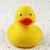 Import Factory price animal bath toy yellow bath duck from China