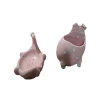 Favorite fancy ceramic pink dinosaur soap dishes